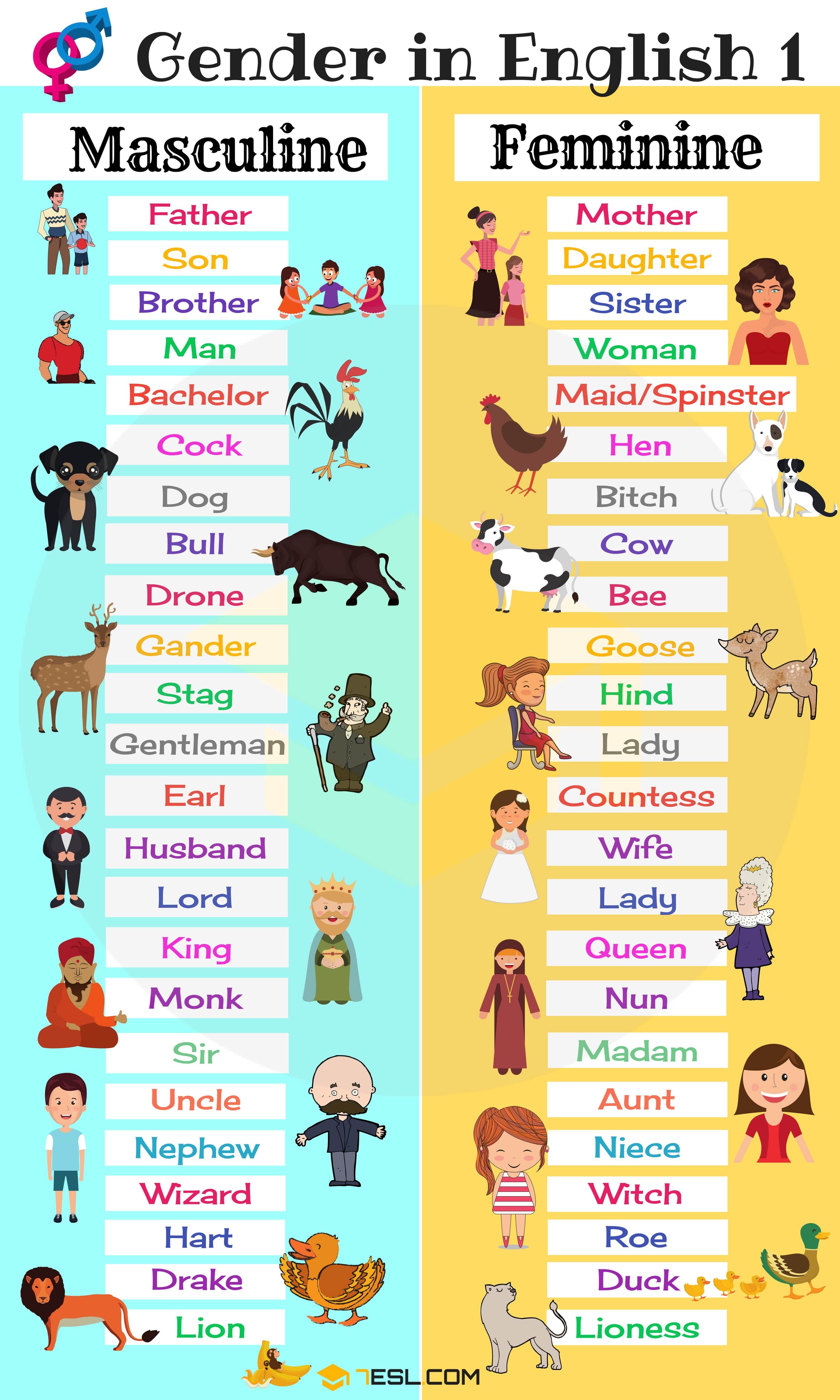 gender-of-nouns-useful-masculine-and-feminine-list-7esl-gender-in