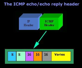 بررسی پروتکل icmp - بخش دوم - پیغام ECHO REPLY یا ping reply . آموزشگاه رایگان خوش آموز