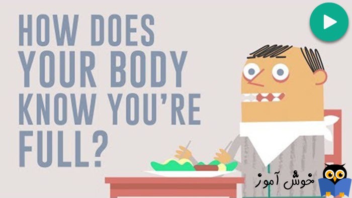 چطور بدن شما می داند که سیر شده اید؟