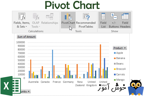 نمودار چرخشی (Pivot Chart)