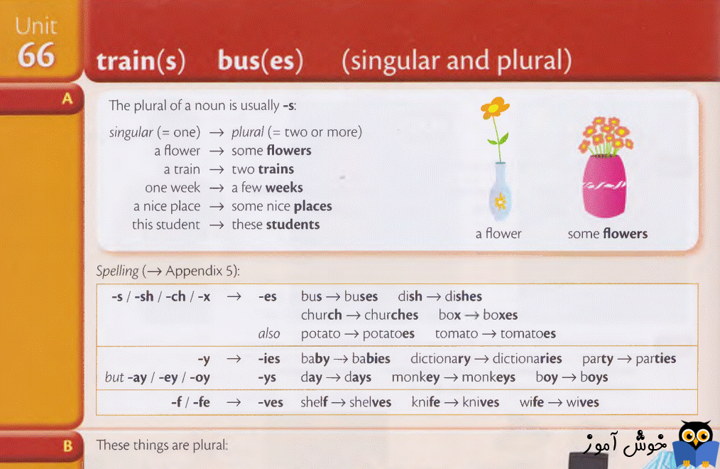 Unit 66: train(s) bus(es) (singular and plural)