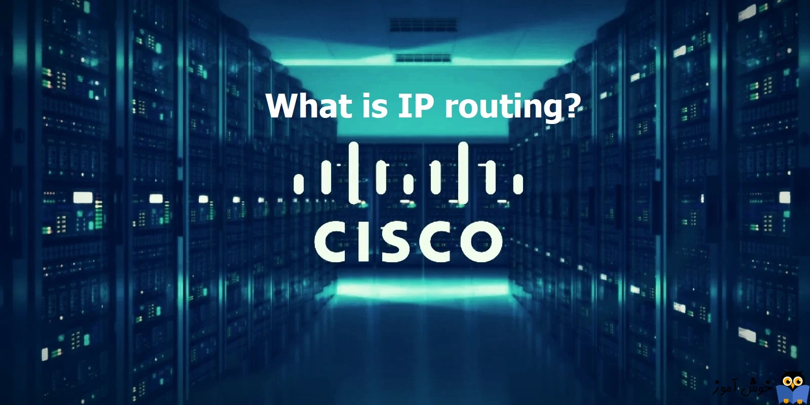 IP routing چیست؟