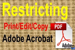 عدم دسترسی ویرایش و پرینت سند PDF