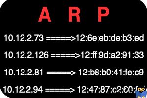 نحوه خالی کردن ARP Cache در ویندوز