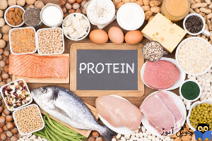 19 نکته برای ساخت 5 پوند عضله در 28 روز - سوال پنجم = روزانه چه مقدار پروتئین نیاز دارم؟