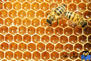 عسل و سایر شیرین کننده ها