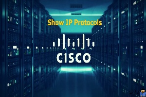 دستور Show IP Protocols در سیسکو